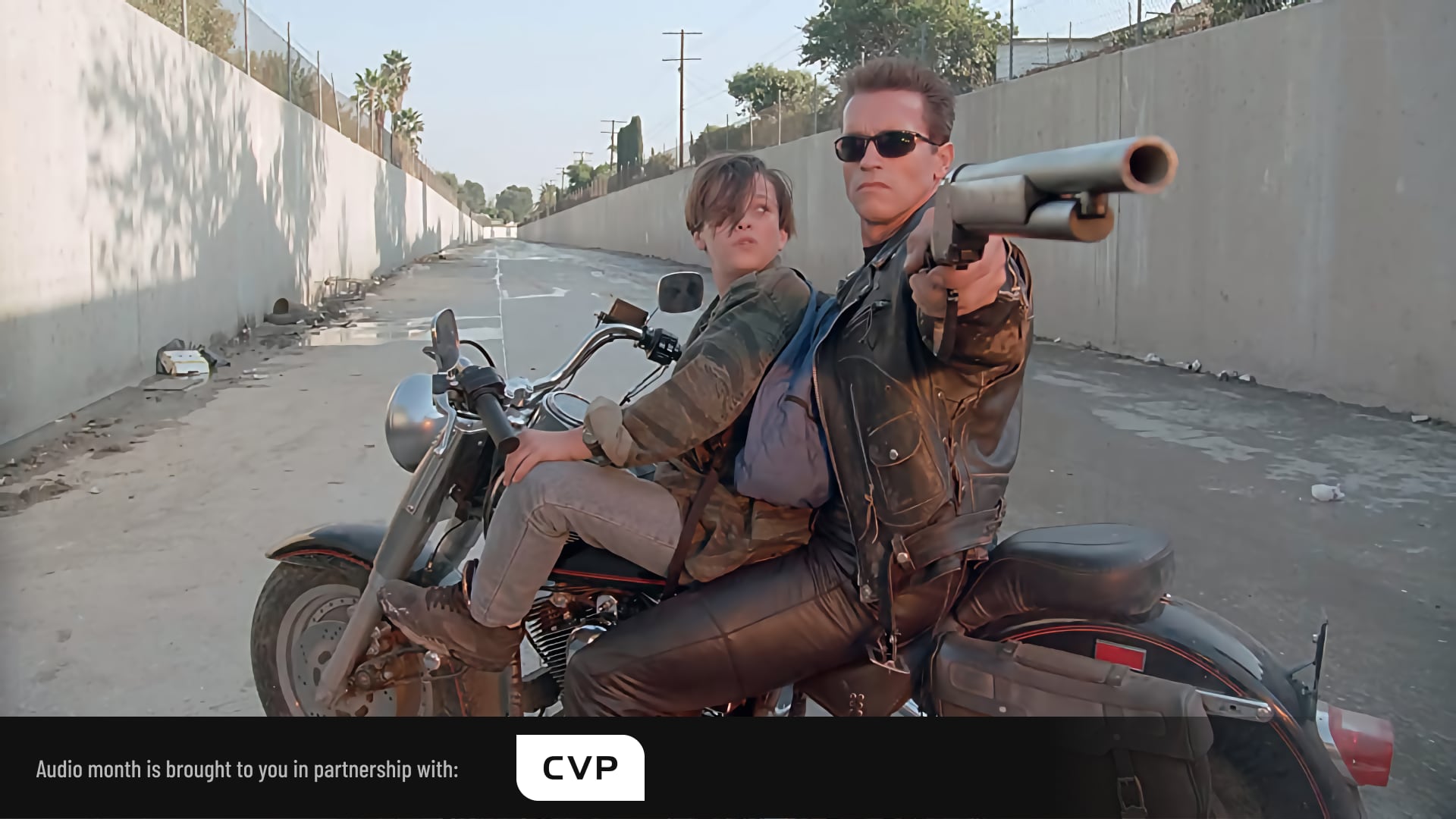 T2 is remembered for many excellent things and now we need to add audio to them. Pic: Tri-Star Pictures